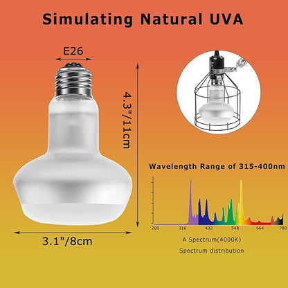 100W Intense Basking Spot Lamp – UVA Daylight Heat Bulb for Reptiles, Simulates Natural Sunrise and Sunset, Enhances Natural Behavior, Suitable for Bearded Dragons, Turtles, Geckos | 2 Pack
