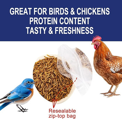 RANZ 5LBS Non-GMO Dried Mealworms for Chickens, High Protein Meal Worms, Premium Chicken Feed, Perfect Bird Food and Chicken Treats, Whole Large Mealworms for Wild Birds, Ducks, Fish