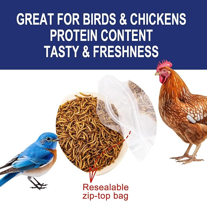 RANZ 2LBS Non-GMO Dried Mealworms for Chickens, High Protein Meal Worms, Premium Chicken Feed, Whole Large Mealworms for Blue Birds, Ducks, Fish