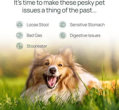 pawTree Gastro Pro Plus® for Dogs and Cats - Probiotics, Prebiotics and Digestive Enzymes - for Sensitive Stomach, Digestive Issues, Loose Stool, and Bad Gas (30 ct)