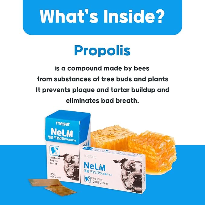 NeLM Supplements & Vitamins for Dogs - Mouth Dissolving Strips - Multivitamin, Eye, Hip & Joints, Gut, Dental Support - Pet Health Supplies - 30 Stips(Pack of 1) (30 Strips (Pack of 1), Dental Care)