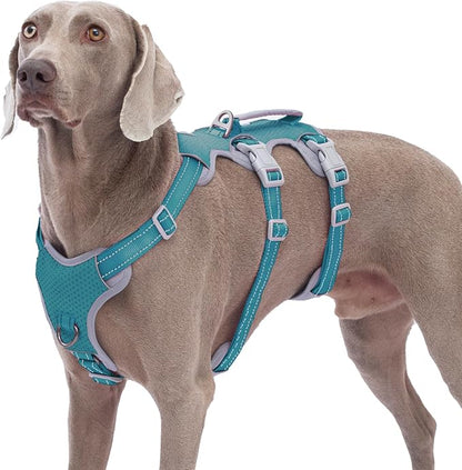 Escape Proof Dog Harness, No Pull Reflective Harness with Lift Handle, Adjustable Pet Vest with Front and Back Leash Clips for Small Medium Large Dogs Walking Hiking Training (Teal,XL)