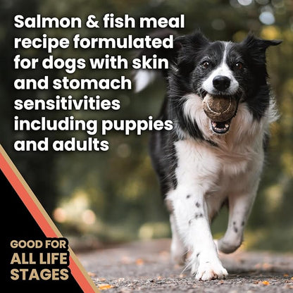 VICTOR Super Premium Dog Food — Sensitive Skin and Stomach — Salmon Meal & Brown Rice Recipe Dry Kibble — Gluten Free, No Chicken, Ideal for Dogs with Allergies — Adult and Puppy Food, 5 lb