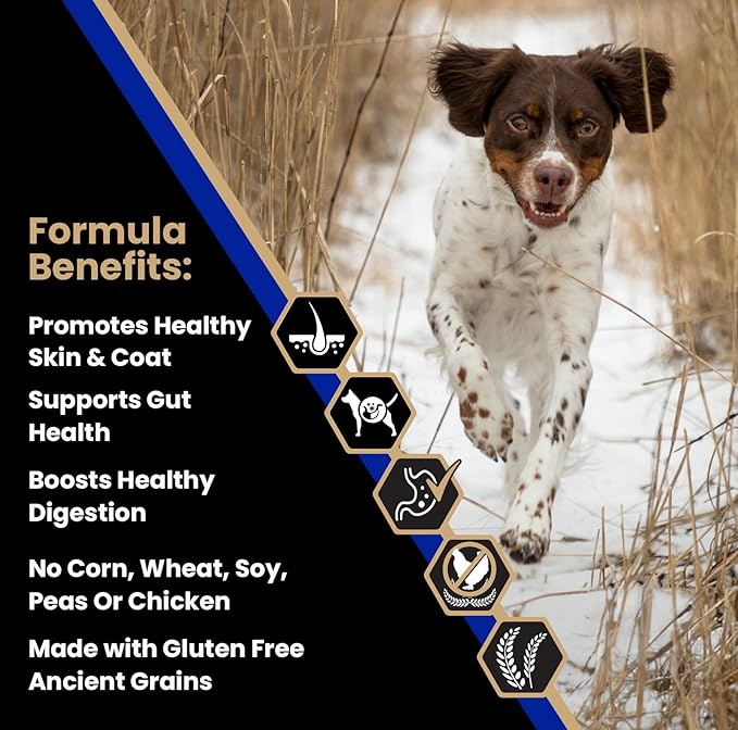 VICTOR Super Premium Dog Food — Sensitive Skin and Stomach — Beef Meal & Brown Rice Recipe Dry Kibble — Gluten Free, No Chicken, Ideal for Dogs with Allergies — Adult and Puppy Food, 5 lb