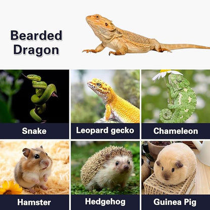 Hamster Cage and Habitats Chewproof Wooden Small Animal Cage for Rutin Chicken Guinea Pig Chinchilla Gerbil Reptile Solid Built L