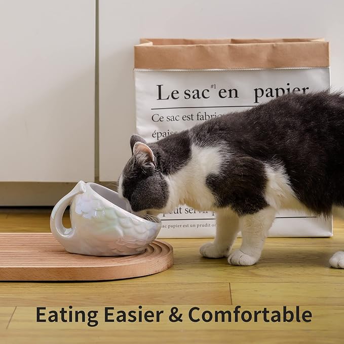 Nihow Cat Food Bowl: 5.7 Inch Ceramic Raised Cat Dish - Elevated Pet Bowl for Protecting Pet's Spine - Colorful White (4OZ /1 PC)
