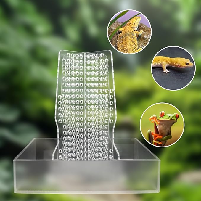Bearded Dragon Feeder, Transparent Acrylic Chameleon Feeding Bowl, Reptile Terrarium & Aquarium Accessories, Climbable Bug Food Bowl for Lizard Frog Gecko