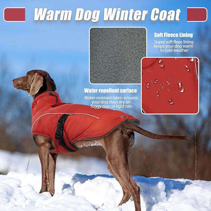 DENTRUN Medium Dog Winter Jacket - Warm Reflective Windproof Coat, Adjustable Neck & Snap Closure, Water Repellent Thick Fleece Vest, Fleece Lined for Beagle Pug, Red, M