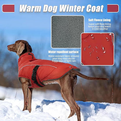 DENTRUN Medium Dog Winter Jacket - Warm Reflective Windproof Coat, Adjustable Neck & Snap Closure, Water Repellent Thick Fleece Vest, Fleece Lined for Beagle Pug, Red, M