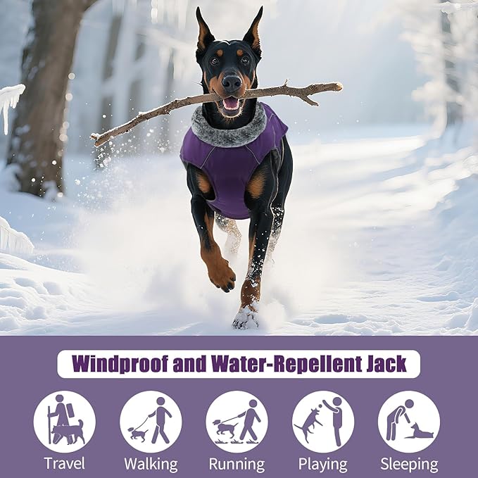 DENTRUN Large Dog Winter Coat - Windproof Reflective Warm Coat, Adjustable Neck & Snap Closure, Water Repellent Thick Fleece Vest, Fleece Lined for for Golden Retriever, Purple, XL