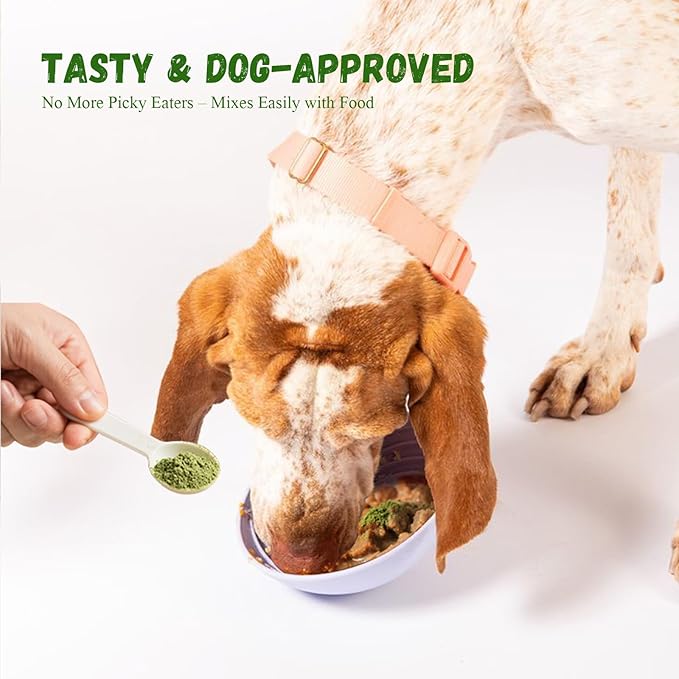 Dog Teeth Cleaning Powder, Dog Dental Powder for Teeth Cleaning and Dog Breath Fresh for Dogs with Probiotic & Tartar Remover, Plaque Off Dog Tooth Cleaning (80g)