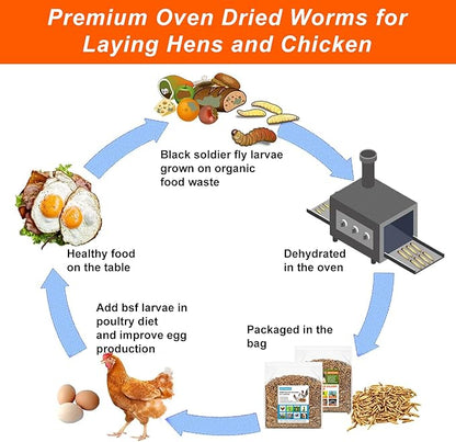 Dried Black Soldier Fly Larvae 2 LB,Chicken Feed, Hamster Food,More Calcium Than Dried Mealworms High-Protein Chickens Treats, Food for Wild Birds, Ducks, Layer Hens(2 LB)