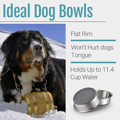 PEGYY11 Nonslip Stainless Steel Dog Bowls, 11.4 US Cup, 2 Count