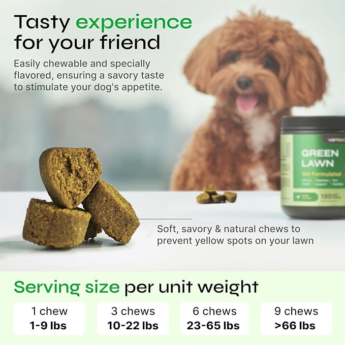 Dog Urine Neutralizer for Lawn - Grass Burn Spot Chews for Dogs - Dog Pee Grass Spot Saver - Green Lawn Treats with Enzymes - Digestive and Gut Health Support Chews - Canine UTI Support Supplement