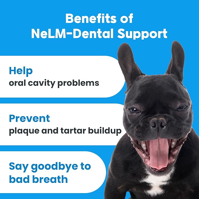 NeLM Supplements & Vitamins for Dogs - Mouth Dissolving Strips - Multivitamin, Eye, Hip & Joints, Gut, Dental Support - Pet Health Supplies - 30 Stips(Pack of 1) (30 Strips (Pack of 1), Dental Care)