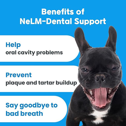 NeLM Supplements & Vitamins for Dogs - Mouth Dissolving Strips - Multivitamin, Eye, Hip & Joints, Gut, Dental Support - Pet Health Supplies - 30 Stips(Pack of 1) (30 Strips (Pack of 1), Dental Care)