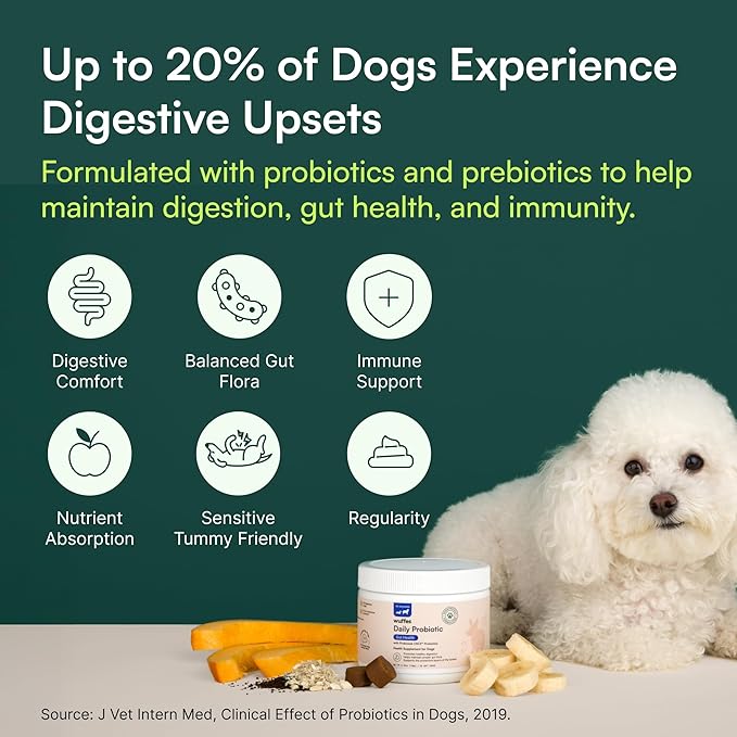 Wuffes Daily Probiotic for Dogs - Supports Digestive Health, Gut Balance, and Immune System - with Prebiotics, Marshmallow Root, and Pumpkin Powder (120 Chews (Pack of 2))