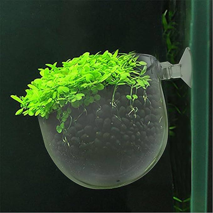 Uenhoy 3 Pcs Plastic Aquatic Plant Pots, Aquarium Plant Pots with Suction Cups, Acrylic Aquarium Planter, Red Shrimp Live Plant Fish Tank Holder