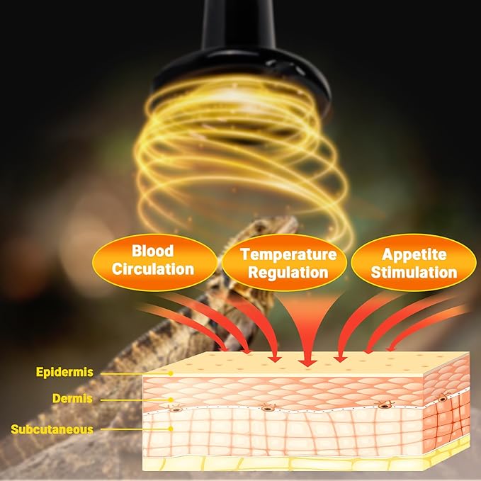 100W Ceramic Heat Emitter - Black Reptile Heat Bulb - No Light Infrared Reptile Heat Lamp for Lizards, Dogs, Cats - Ideal for Terrariums and Pet Brooder Coop Heating - Black