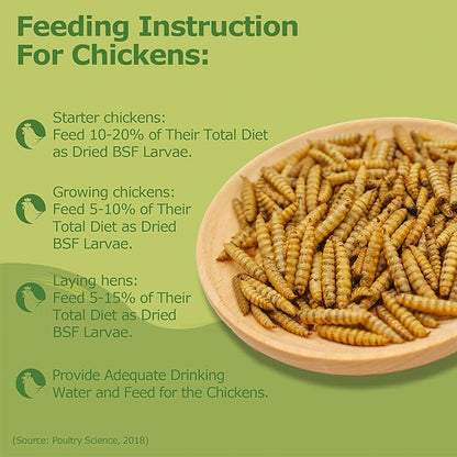 1LB Dried Black Soldier Fly Larvae, Non-GMO & Nutrient-Packed Chicken Feed, Strong Egg Production and Health, Rich in Calcium for Healthy Hens and Ducks, Better Than Dried Mealworms