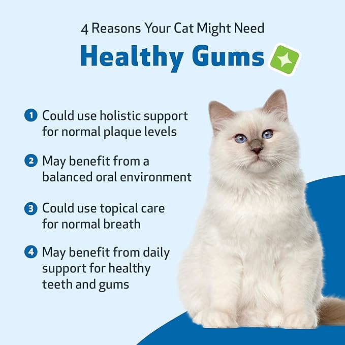Pet Wellbeing Healthy Gums for Cats - Gums & Dental Health, Oral Care, Healthy Breath, Coenzyme Q10, Zinc Oxide, Calendula, Marshmallow Root - Veterinarian-Formulated Holistic Topical 4 oz (118 ml)