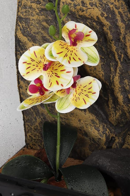 Fake Orchids Artificial Flowers, Reptile Terrarium Decor Plants, Bearded Dragon Tank Habitat Accessories fit Crested Gecko Leopard Lizard Chameleon Ball Python Snake Frog - White