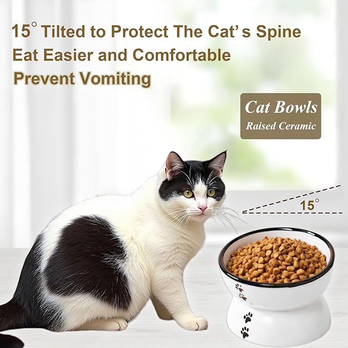 Anti-Rollover Elevated Ceramic Cat Bowls with Paw Prints for Holding Food and Water, Black Border, Suitable for Small Dogs and Pets
