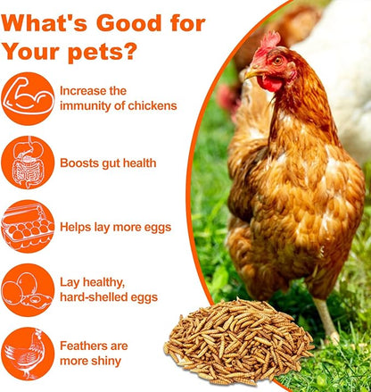 Dried Black Soldier Fly Larvae 2 LB,Chicken Feed, Hamster Food,More Calcium Than Dried Mealworms High-Protein Chickens Treats, Food for Wild Birds, Ducks, Layer Hens(2 LB)