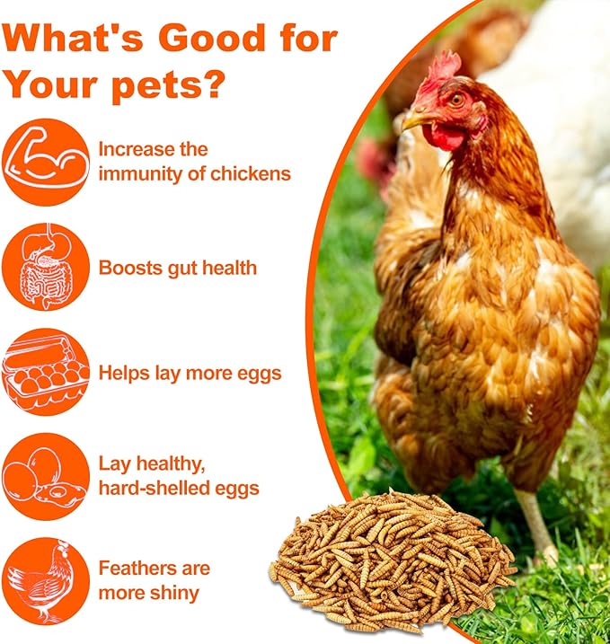 Dried Black Soldier Fly Larvae 4 LB,Chicken Feed, Hamster Food,More Calcium Than Dried Mealworms High-Protein Chickens Treats, Food for Wild Birds, Ducks, Layer Hens(4 LB)