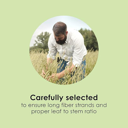 Kaytee Timothy Hay, High Fiber, Grown Specifically for Small Animals, Rabbits, Guinea Pigs, Chinchillas, 2 Pounds