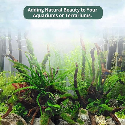 Hamiledyi Large Natural Driftwood for Aquarium 12-18 Inch Driftwood Branches Fish Tank Decoration Reptile Toy Assorted Size Reptile Habitat Decor Wood for Lizad (1 Pack)