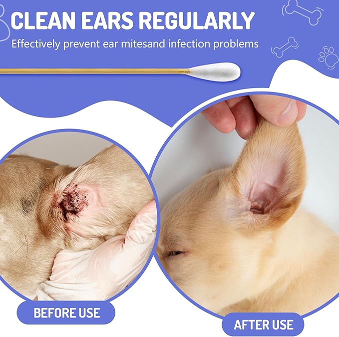 300PCS Large Cotton Swabs in Storage Box, 6 Inch Dog Ear Swabs with Bamboo Handle for Dogs - Soft Cotton, Gentle and Lint-Free, Specially Designed for Dogs, Cleaning Solution