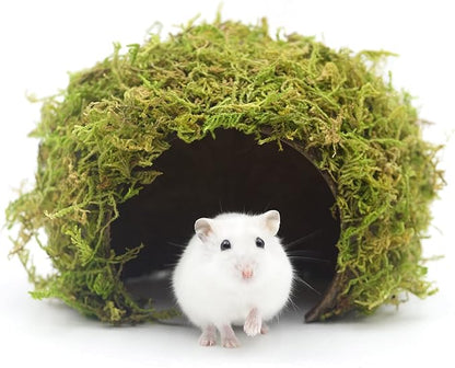 Hamster Hideout - Large, Natural Moss, Handcrafted for Syrian Hamsters, Rats & Guinea Pigs, Safe & Eco-Friendly