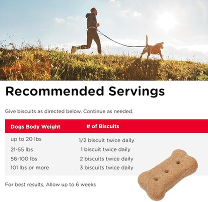 Nutri-Vet Hip & Joint Biscuits for Dogs, Tasty Glucosamine Treat, Puppy Supplements, Dog Joint Supplement, Small Sized Biscuit with 166mg Glucosamine, Puppy Essentials, 16 oz (Pack of 2)