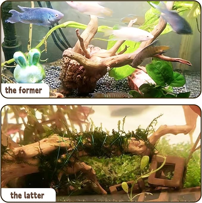 Hamiledyi 5.9-7.9in Aquarium Driftwood 3PCS Reptile Spider Wood Assorted Branches Natural Trunk Driftwood Tree Fish Tank Decoration