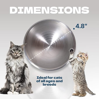 KatSupreme Raised Cat Food Bowls - Elevated Tilted Bowls Set, Stainless Steel, 2 pcs