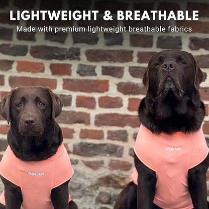Spark Paws Sunblock Dog T-Shirt, SPF30 Protection, Lightweight Breathable Quick Dry for Dogs with Sensitive Skin - Peach & Mint (Set of 2) - 3XL
