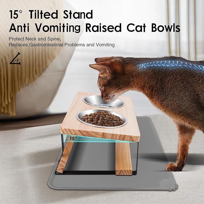 Elevated Cat Bowls with Food Mat, 15° Tilted Anti Vomiting Raised Cat Feeder for Indoor Cats and Puppy, 2 Stainless Steel Bowls for Food and Water