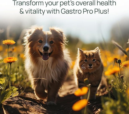 pawTree Gastro Pro Plus® for Dogs and Cats - Probiotics, Prebiotics and Digestive Enzymes - for Sensitive Stomach, Digestive Issues, Loose Stool, and Bad Gas (30 ct)