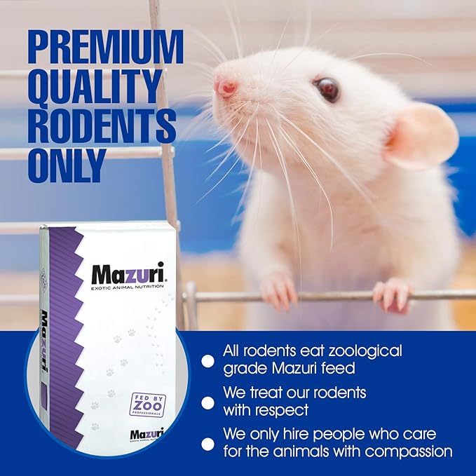 MiceDirect EST. 2003 Frozen Rat Combo Pack Rat Fuzzies & Pups Feeder Snake Reptile Food, 40 Ounce (80 Count)