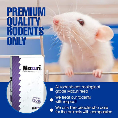 MiceDirect EST. 2003 Frozen Rat Combo Pack Rat Fuzzies & Pups Feeder Snake Reptile Food, 40 Ounce (80 Count)