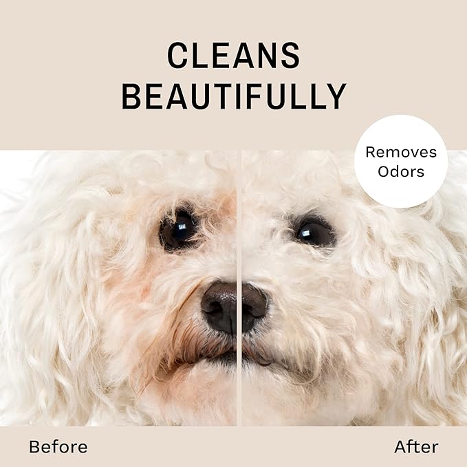 Eye Envy Tear Stain Facial Cleanser for Dogs and Cats. Washes Away Crusty Eye Debris, Eye Boogers, Eye Discharge. Tearless Foaming Formula. Treats The Cause of Staining. All-Natural. 1 US Gallon