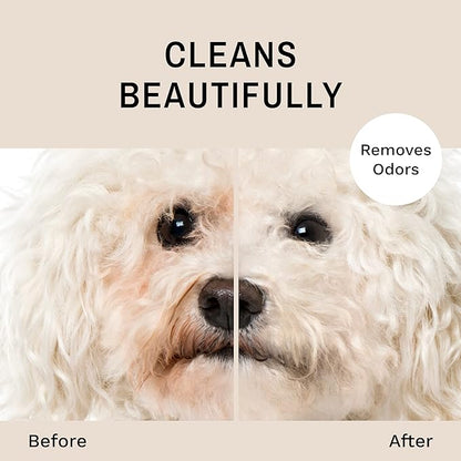 Eye Envy Tear Stain Facial Cleanser for Dogs and Cats. Washes Away Crusty Eye Debris, Eye Boogers, Eye Discharge. Tearless Foaming Formula. Treats The Cause of Staining. All-Natural. 1 US Gallon