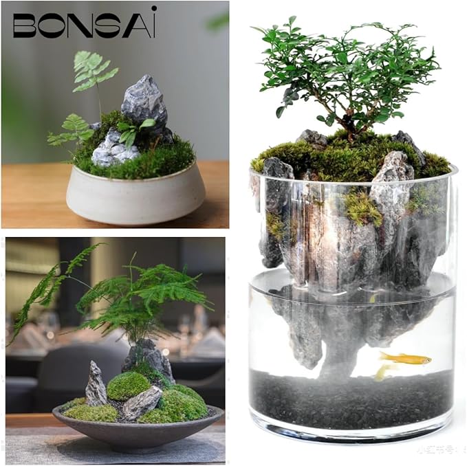 kecilke Seiryu Stones Aquarium Rocks Hardscape Stone for Aquariums, Fish Tanks, Bonsai, Terrariums, Wargaming Dioramas, Indoor or Outdoor Gardens(11lb 2-7inches)