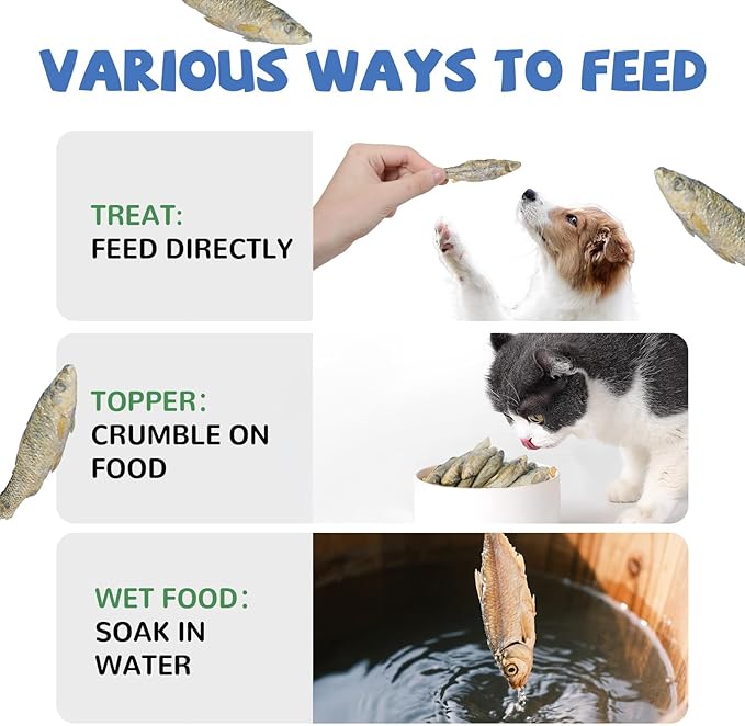 Freeze Dried Minnows Cat Treats – 100% Raw Single-Ingredient Pet Fish Snacks – Rich in Omega-3, Grain-Free – Healthy Training Rewards & Meal Toppers for Dogs & Cats, 2.8 oz