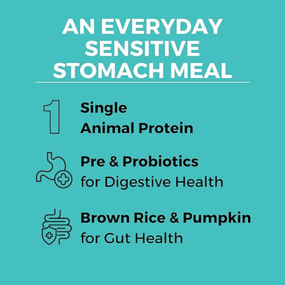 KOHA Limited Ingredient Bland Diet Dry Food for Dogs - Chicken & Brown Rice Recipe, Sensitive Stomach Dog Food - Pumpkin for Digestive Support, 20 lbs