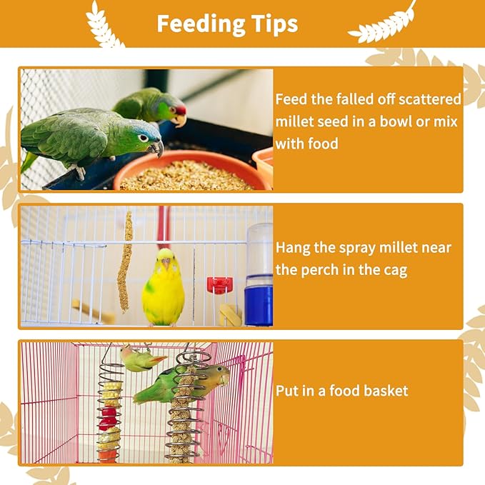 kathson Natural Sun-Dried Birds Millet Spray Millet Treat bird snacks for Parrots Cockatiels Lovebirds Painted Buntings and Finches Parakeets 1.1 LB