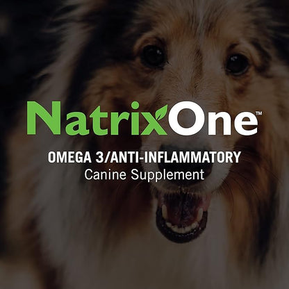 100% Pure Camelina Oil for Dogs, 32 oz - Dog Skin and Coat Supplement All-Natural Supplements, Support Hearts, Joints, Coats, Skin and Anti-inflammatory, Protective Care - Omega 3 by NatrixOne