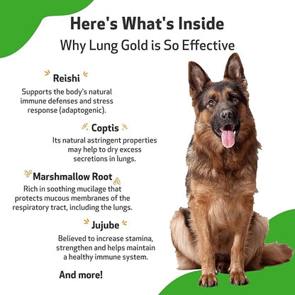 Pet Wellbeing Lung Gold for Dogs & Cats - Vet-Formulated - Lung & Respiratory Immune Support, Open Airways, Easy Breathing - Natural Herbal Supplement 4 oz (18 ml) (2 fl oz (59 ml))