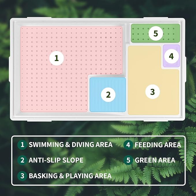 BETAZOOER Turtle Tank with Adjustable Water Pump Filter, Full View Visually Tortoise Aquarium Habitat, Glass Material Easy Changing Water&Clean for Small Amphibious Creatures Reptiles (23"×13.5"×10")